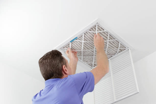 Best Affordable Air Duct Cleaning  in , MI